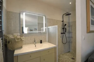 Salle de bain élégante dans le domaine de la plume