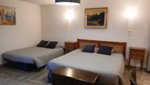 Chambre daudet domaine de la plume (6)