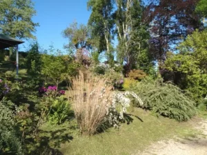 Le domaine de la plume exterieur (1)