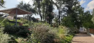 Parc domaine de la plume (1)