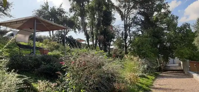 Parc domaine de la plume (1)