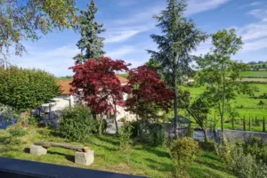 Parc domaine de la plume (3)